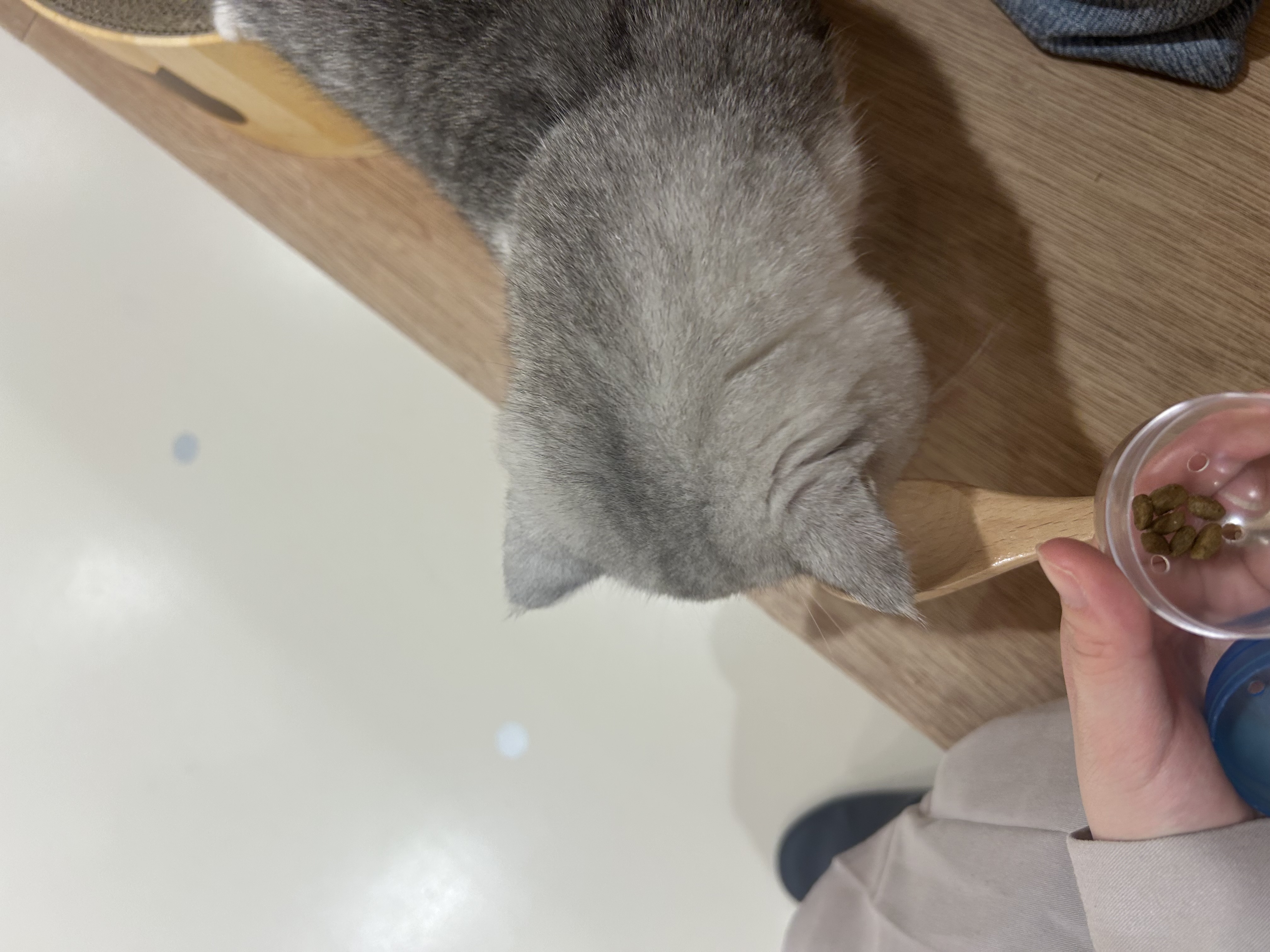 ゆめ