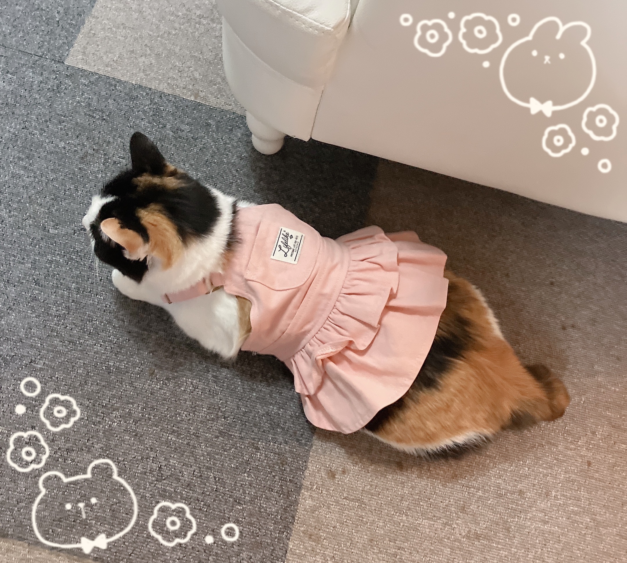 ちあき